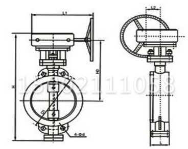 D373H涡轮对夹式硬密封蝶阀结构图