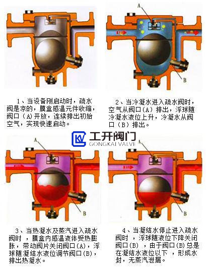 香港内部六宝典资料